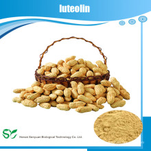 Высокий натуральный экстракт оболочки арахиса Лутеолин